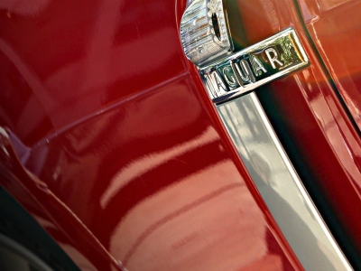 marco-signoprini-photography-jaguar-1